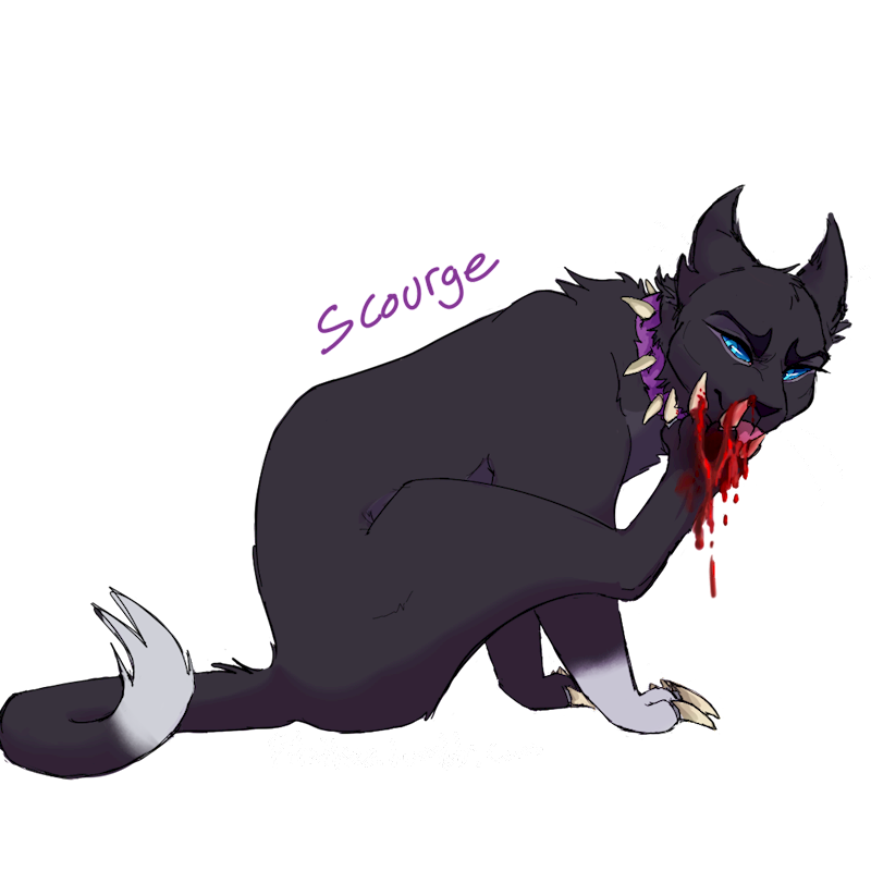 warrior cats scourge, Tumblr