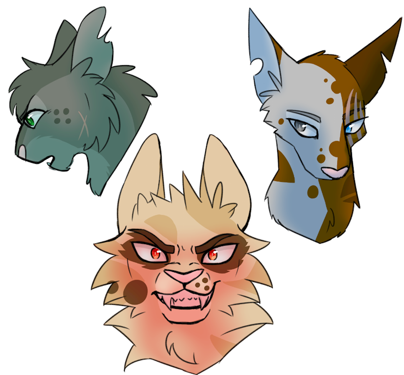 Bnha Warrior Cats